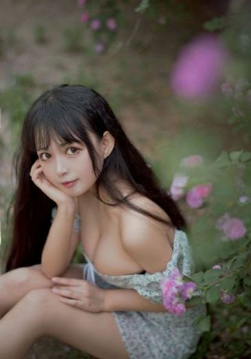 龙门镖局在线观看免费完整版