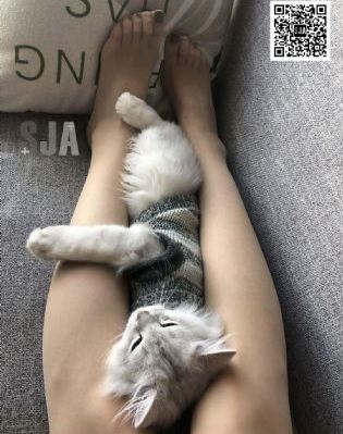 年轻的老婆3视频