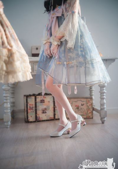 我的老婆是会长大人