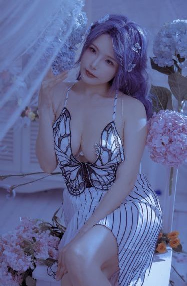 金装的维尔梅2